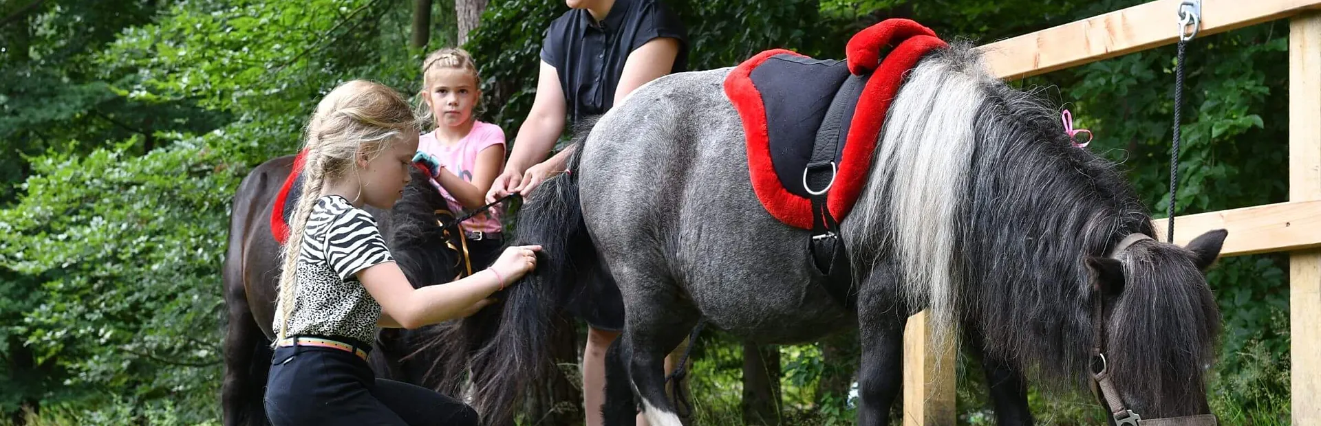 Camping met verzorgpony Ommen 4