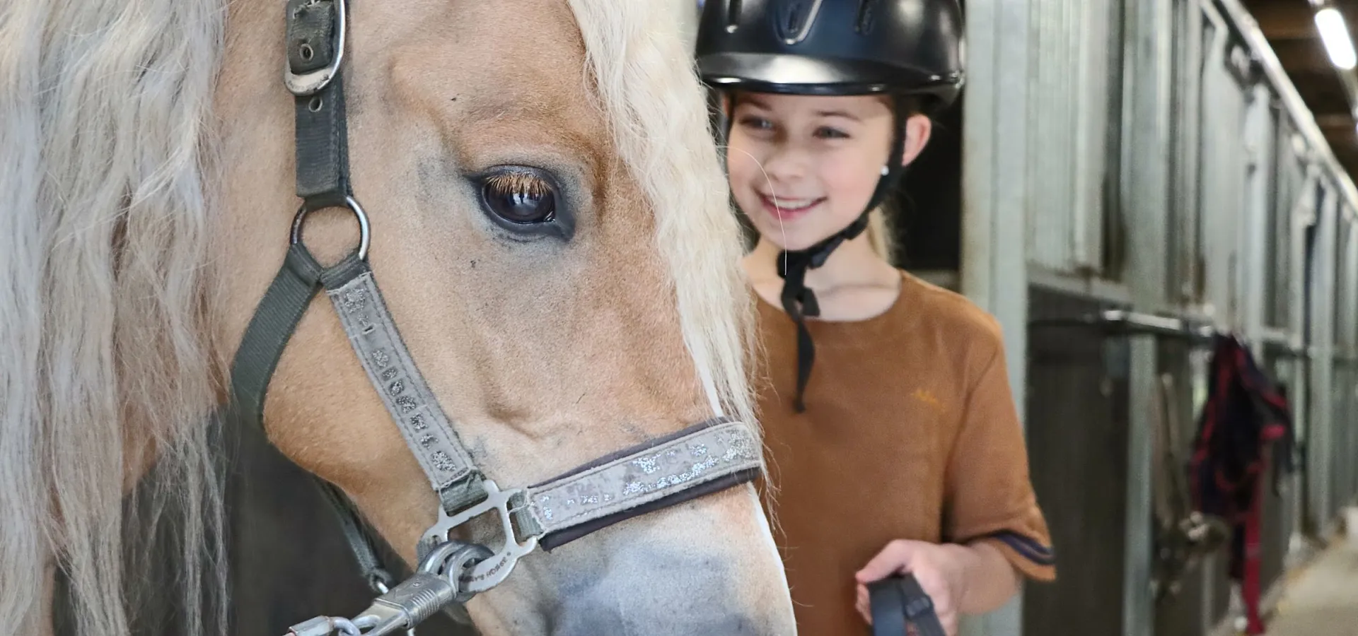 Camping met ponyrijden Ommen 1