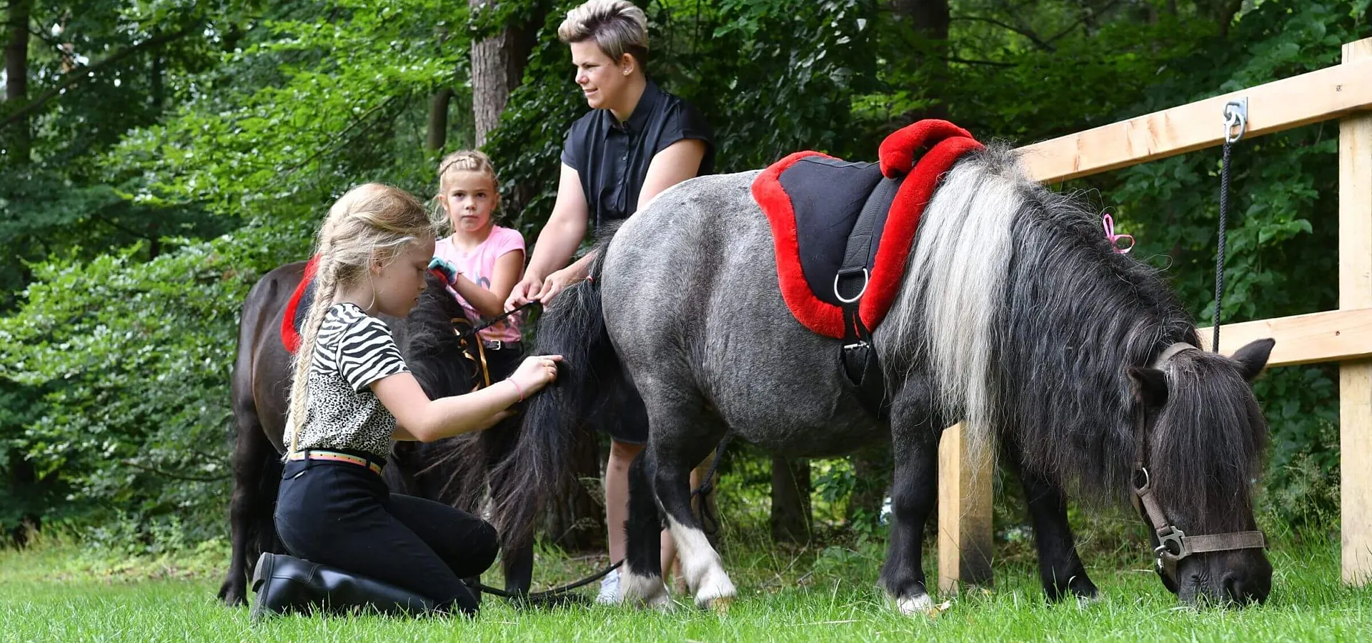 Camping met verzorgpony Ommen 4