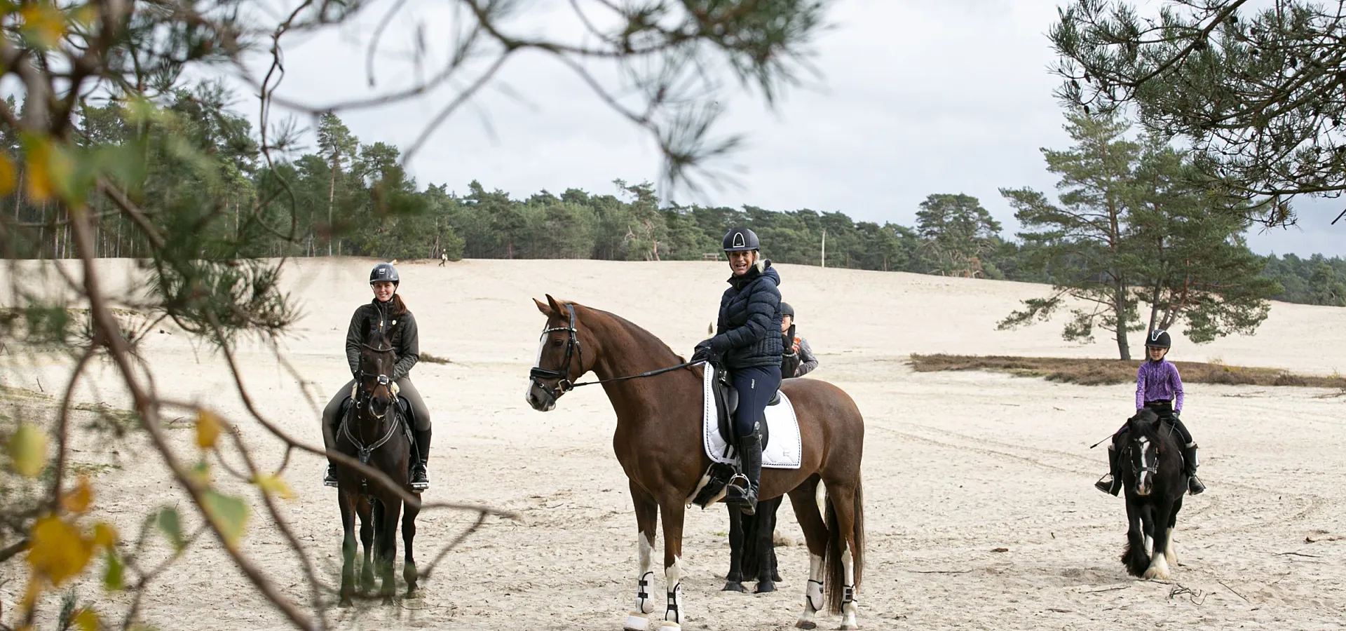 Paardenvakantie Manege Ommen 1