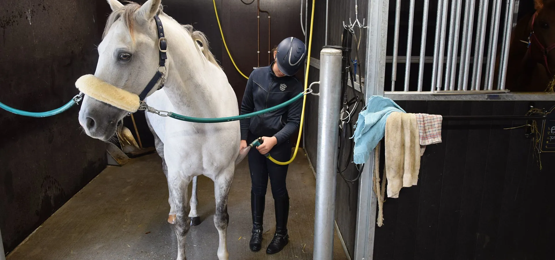 Paardenvakantie Manege Ommen 8