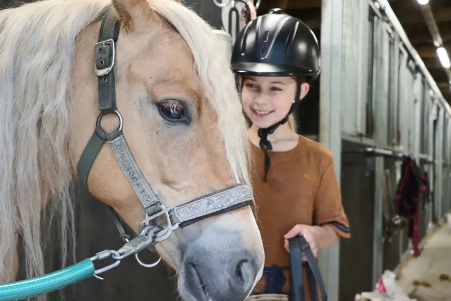 Camping met ponyrijden Ommen 1
