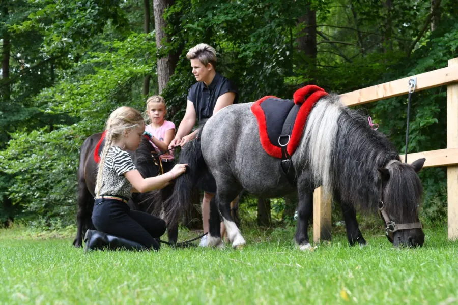 Camping met verzorgpony Ommen 4