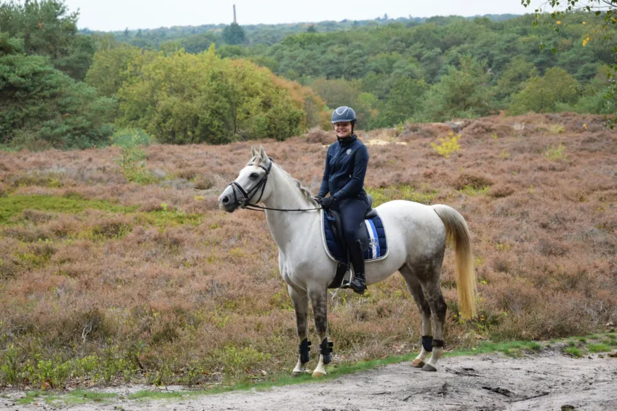 Paardenvakantie Manege Ommen 10