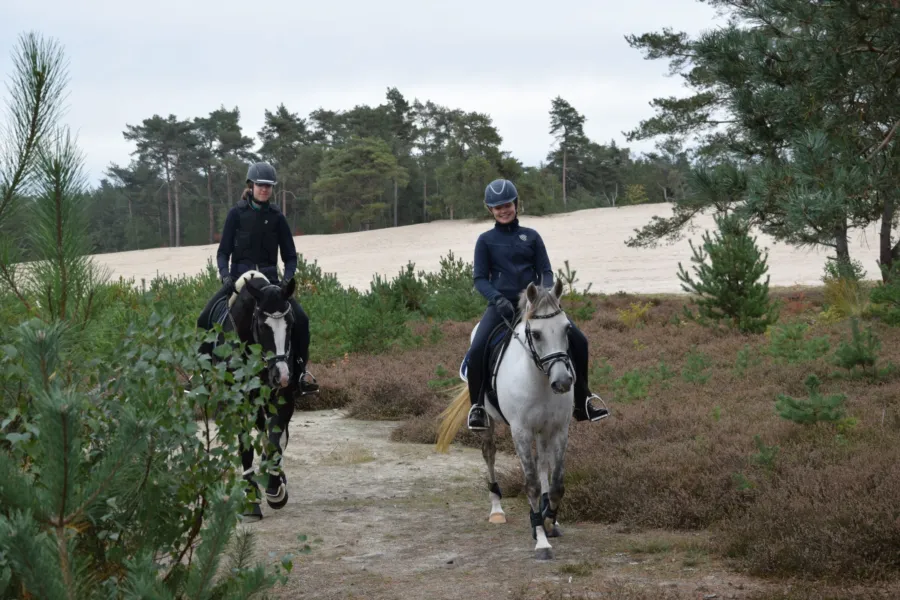 Paardenvakantie Manege Ommen 16