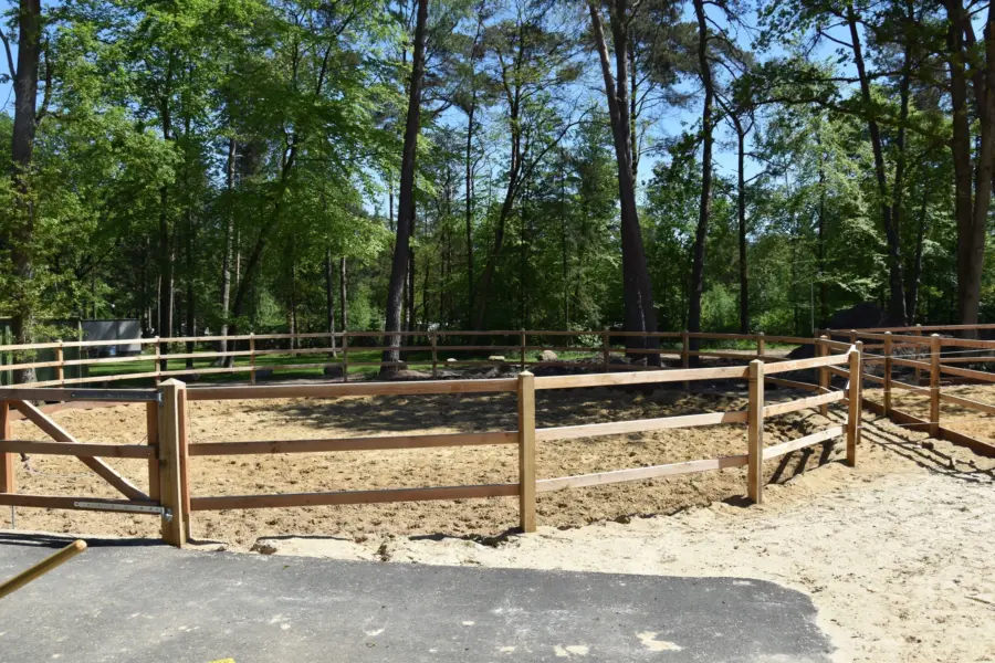 Paardenvakantie Manege Ommen