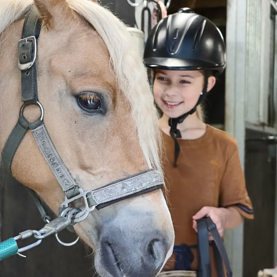 Camping met ponyrijden Ommen 1