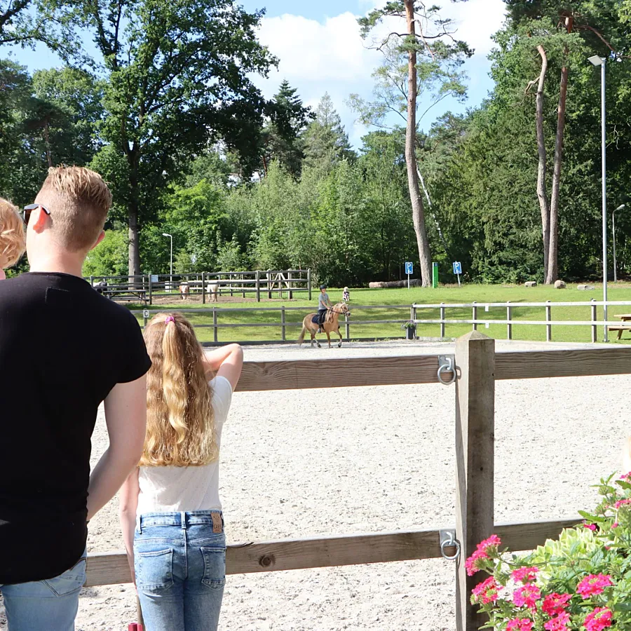 Camping met ponyrijden Ommen 8