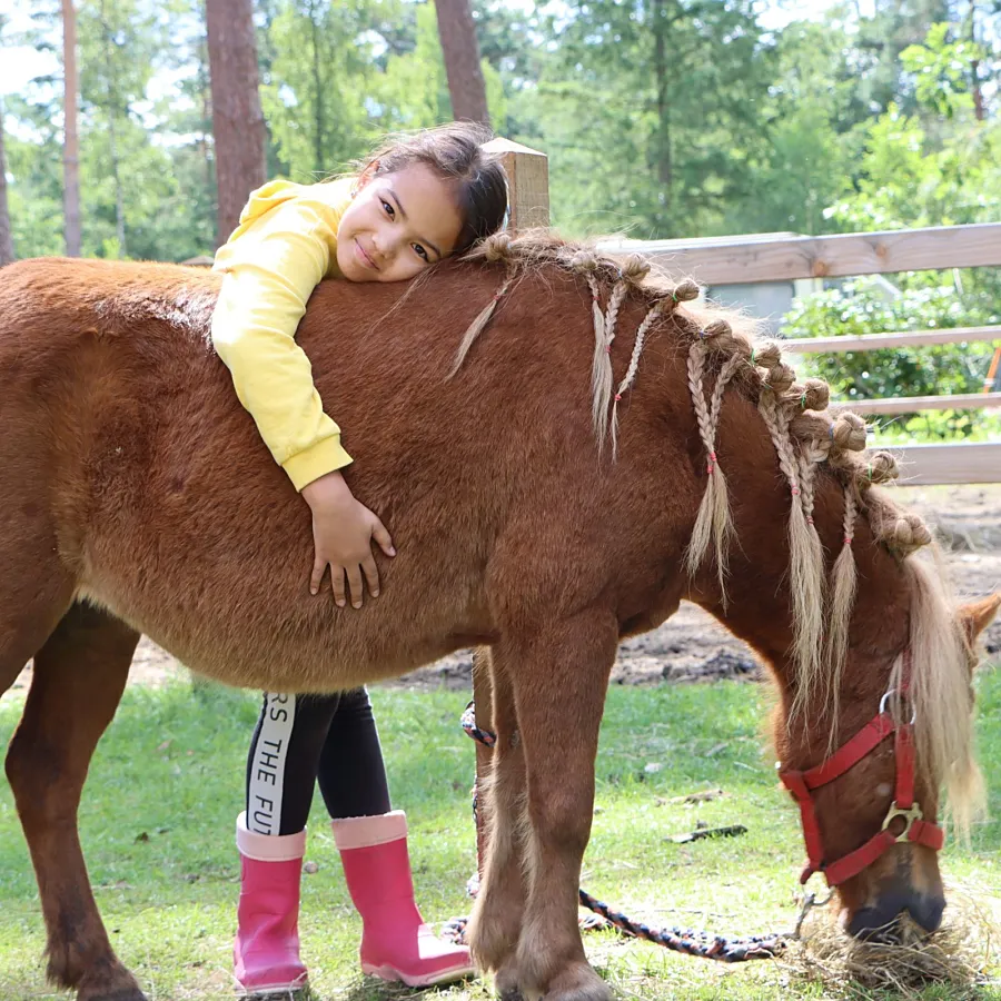 Camping met verzorgpony Ommen 1