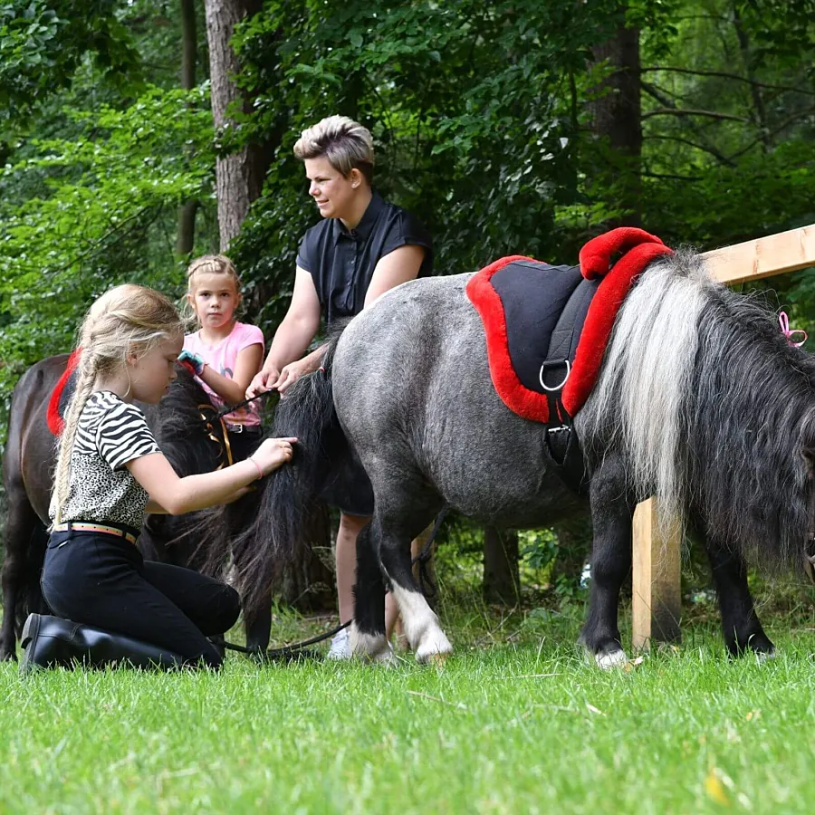 Camping met verzorgpony Ommen 4