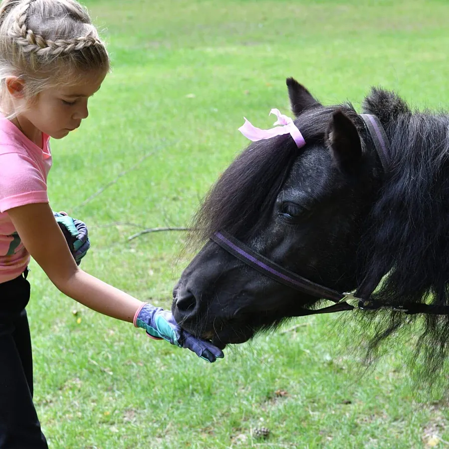 Camping met verzorgpony Ommen 6