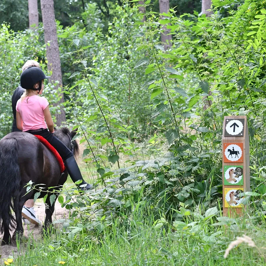 Camping met verzorgpony Ommen 9