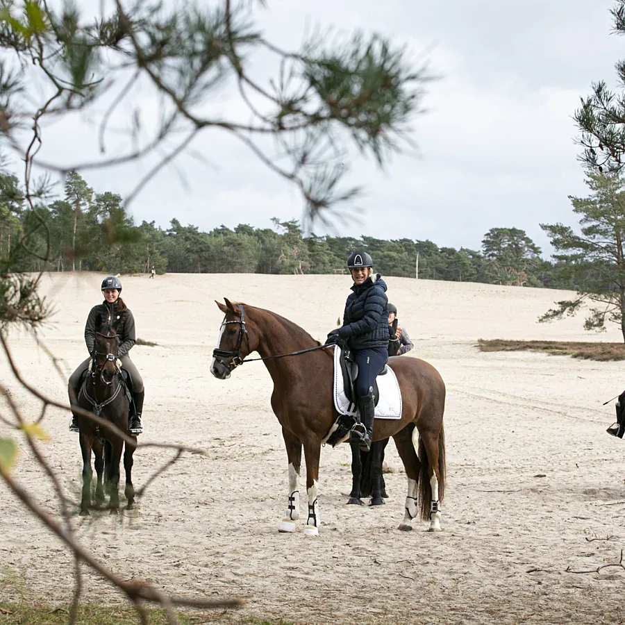 Paardenvakantie Manege Ommen 1