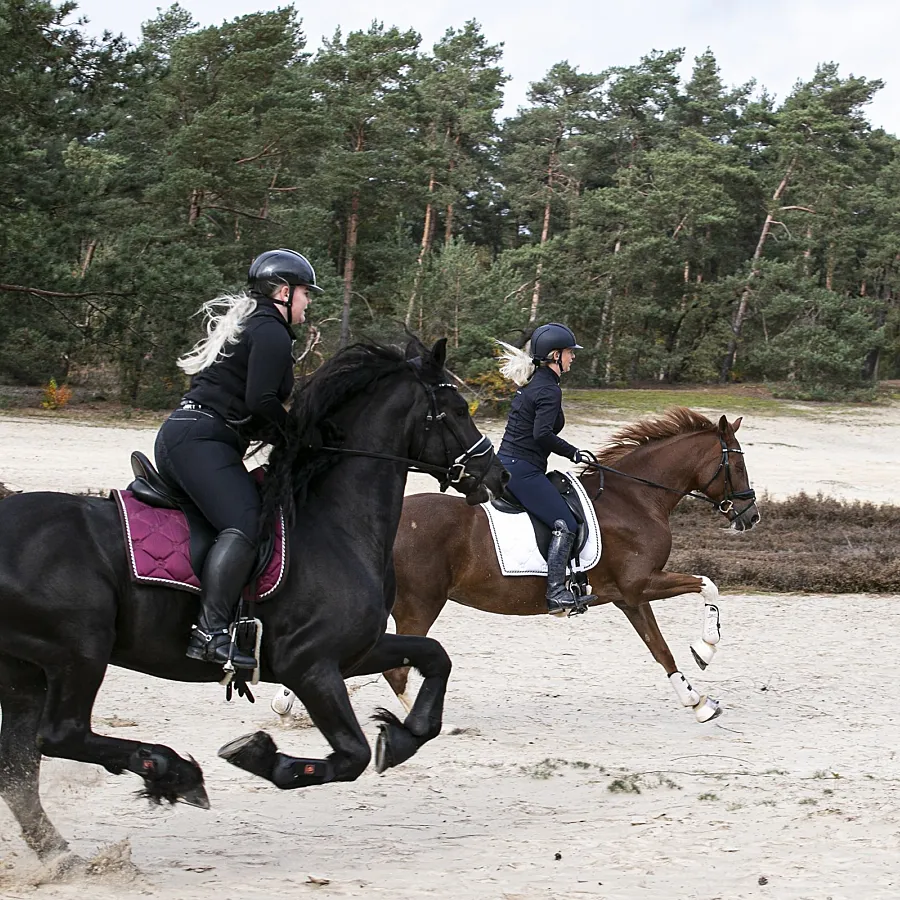 Paardenvakantie Manege Ommen 2