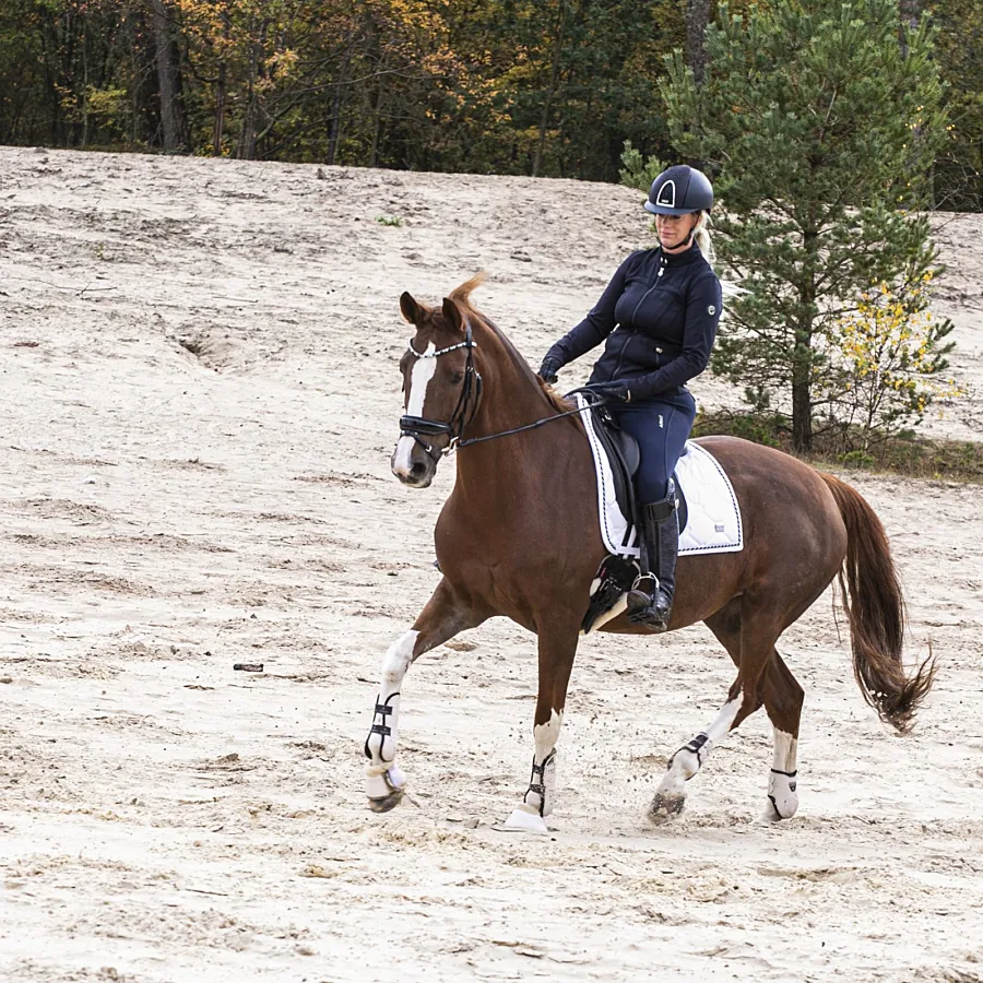 Paardenvakantie Manege Ommen 3