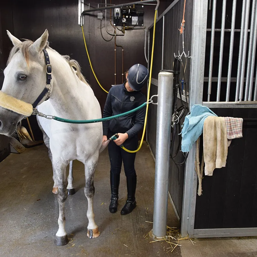 Paardenvakantie Manege Ommen 8