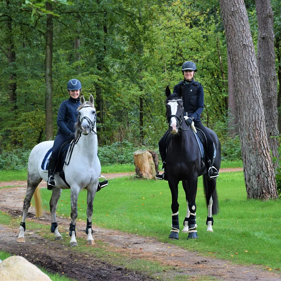 Paardenvakantie Manege Ommen 13