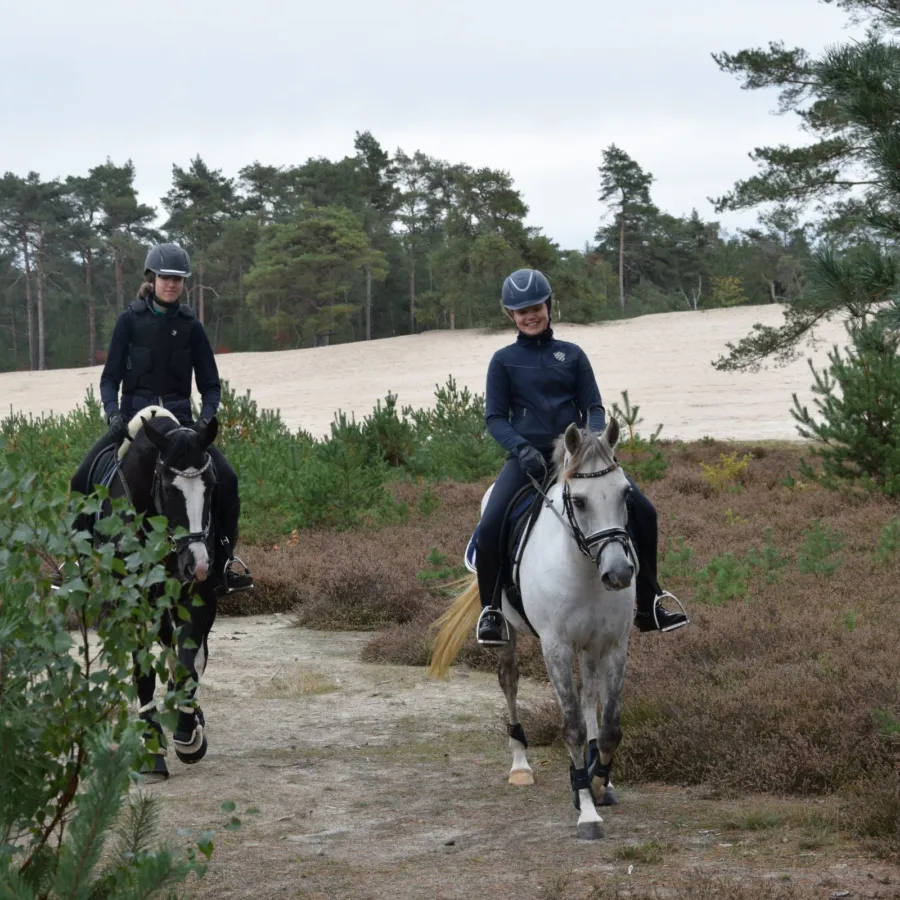 Paardenvakantie Manege Ommen 16