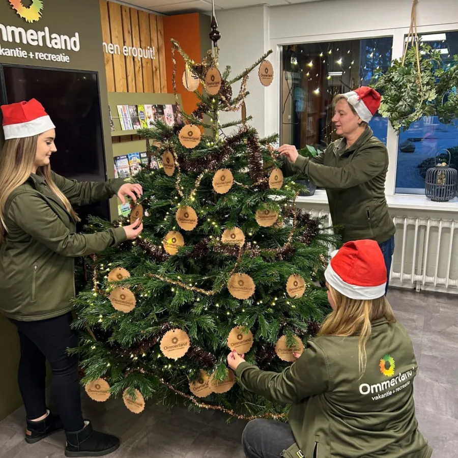 Kerstvakantie lichtjes ophangen 3