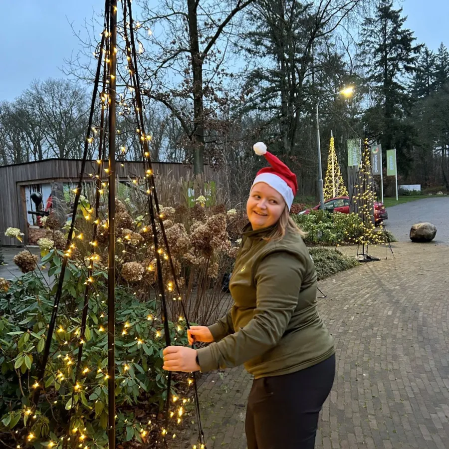 Kerstvakantie lichtjes ophangen 2