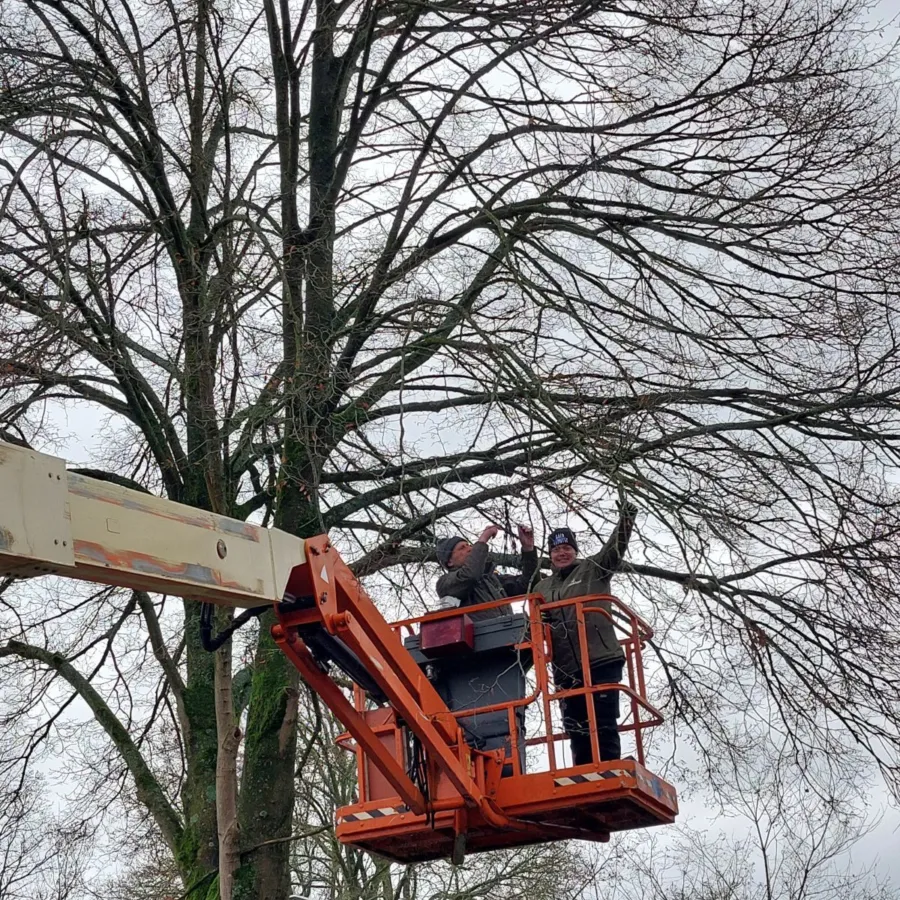Kerstvakantie lichtjes ophangen 1