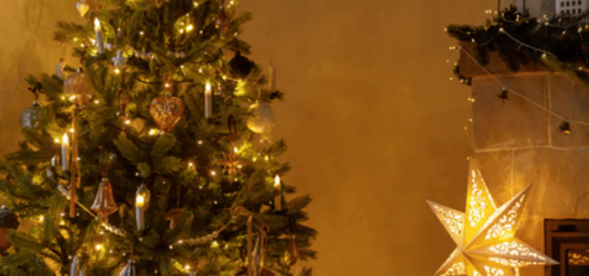 Activiteit afbeelding Nu Nature 4