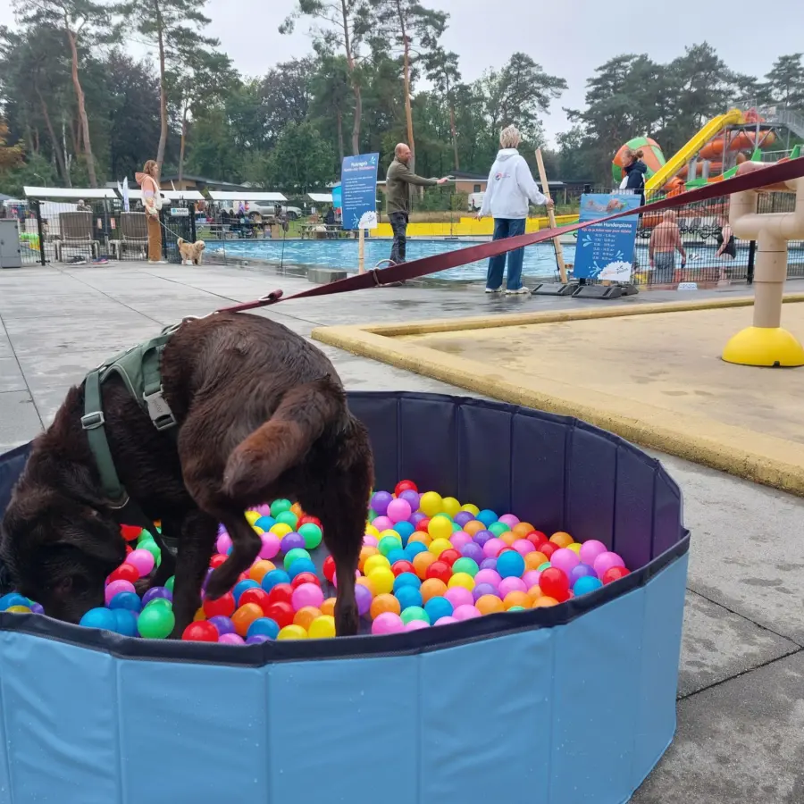 Nieuwsbrief december 2025 2