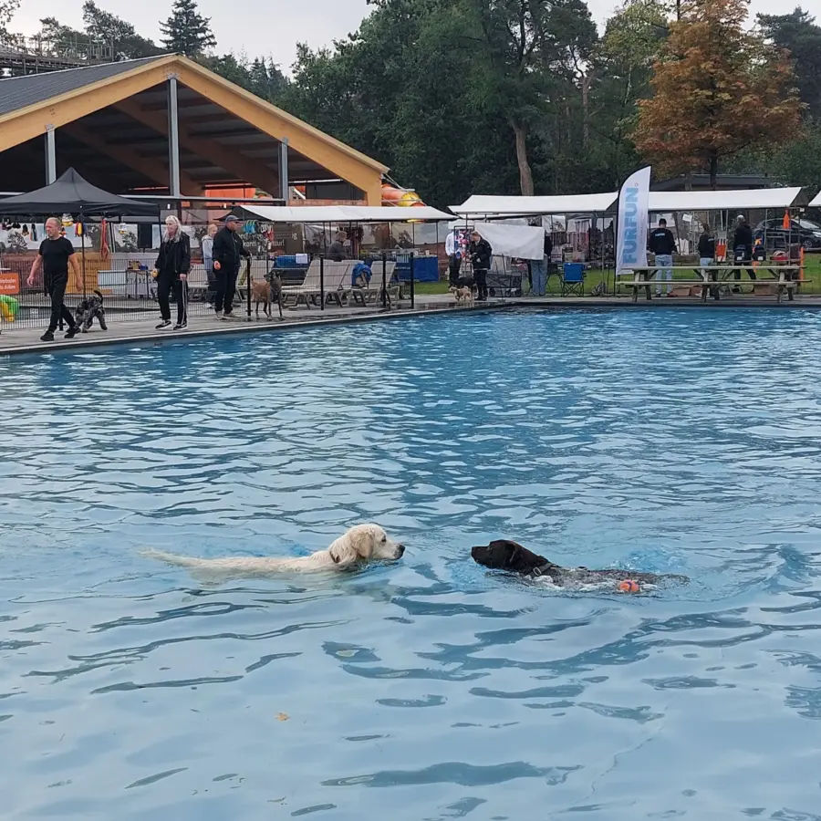 Nieuwsbrief december 2025 3