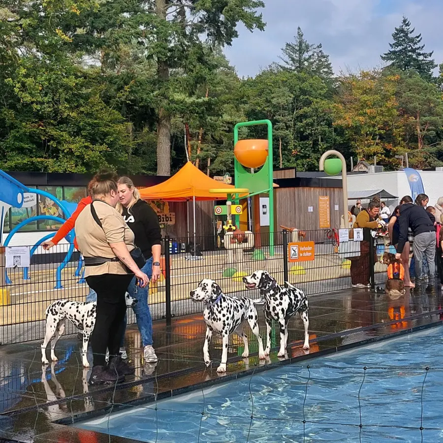 Nieuwsbrief december 2025 4