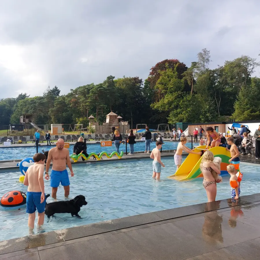 Nieuwsbrief december 2025 5