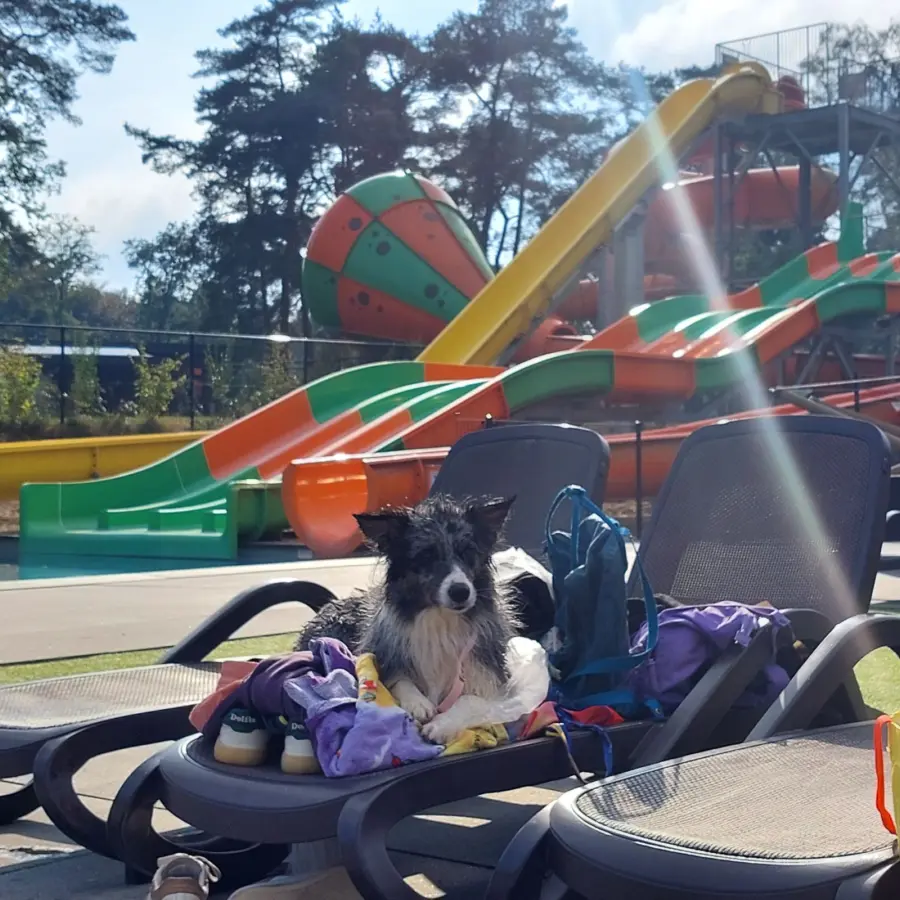 Nieuwsbrief december 2025 6