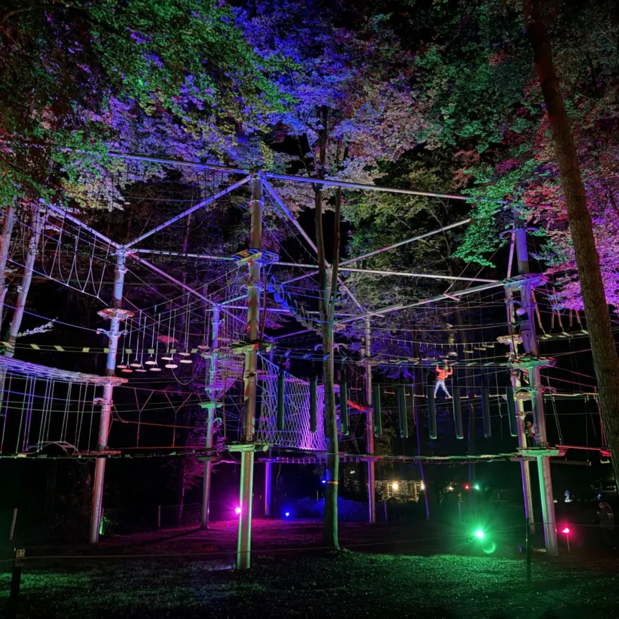 Nieuwsbrief december 2025 10