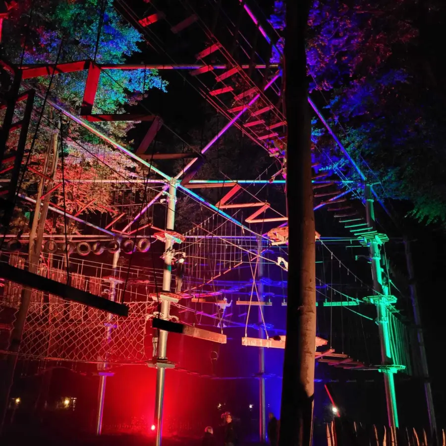 PHOTO 2022 10 18 11 31 40 4