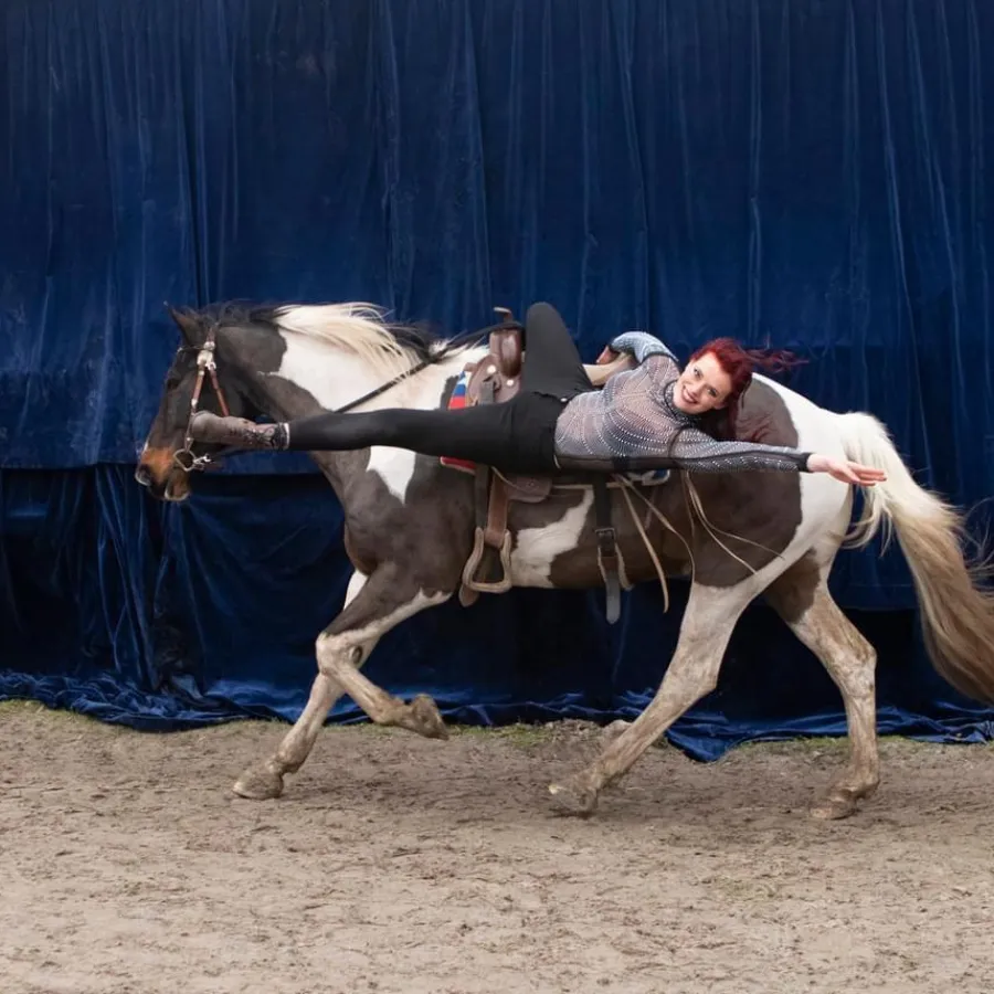 Paardendag 1 mei 2024 Ommerland trickriding