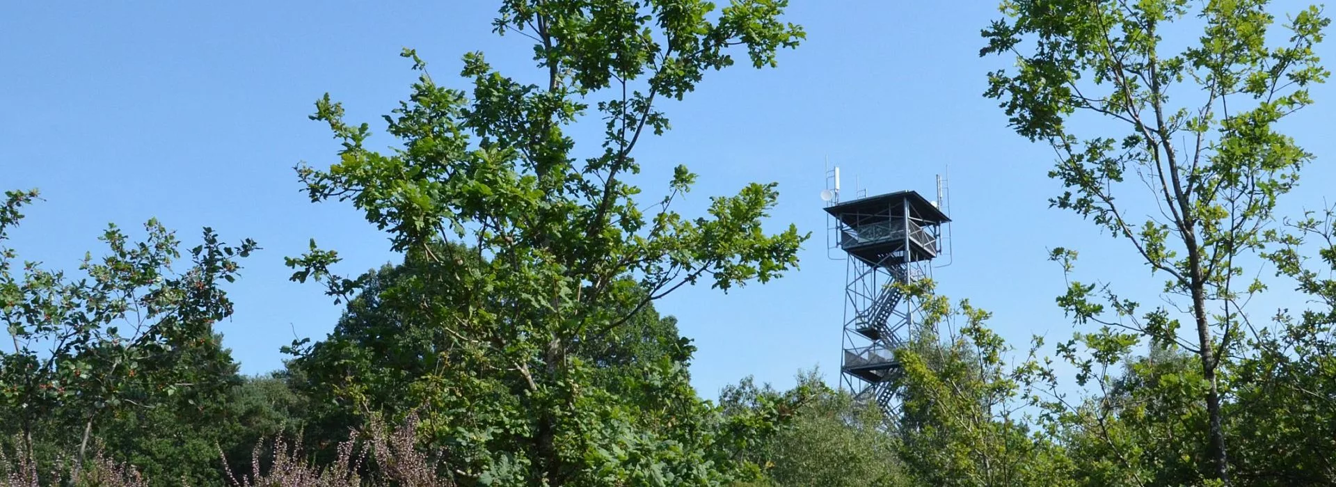 Uitkijktoren Ommen camping Ommerland 16