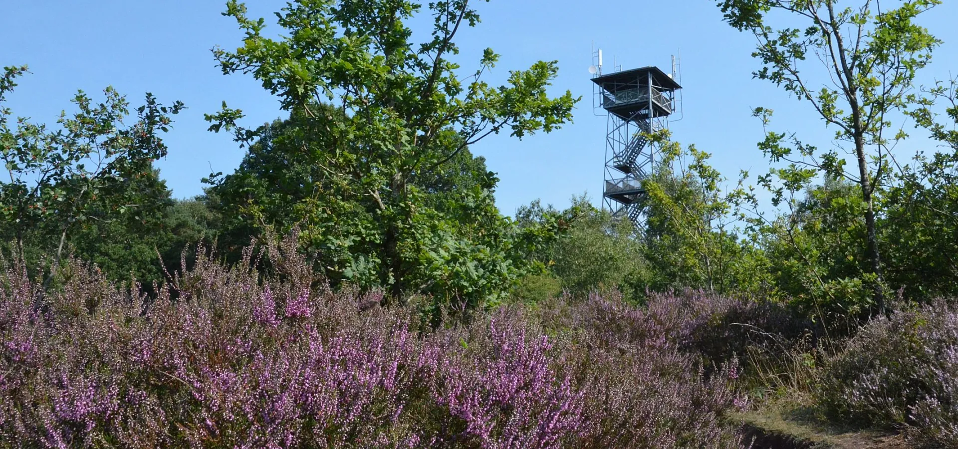 Uitkijktoren Ommen camping Ommerland 16