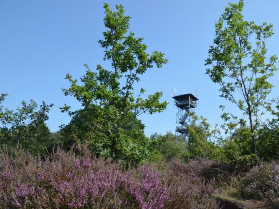 Uitkijktoren Ommen camping Ommerland 16