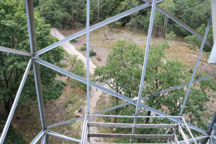 Uitkijktoren Ommen camping Ommerland 5