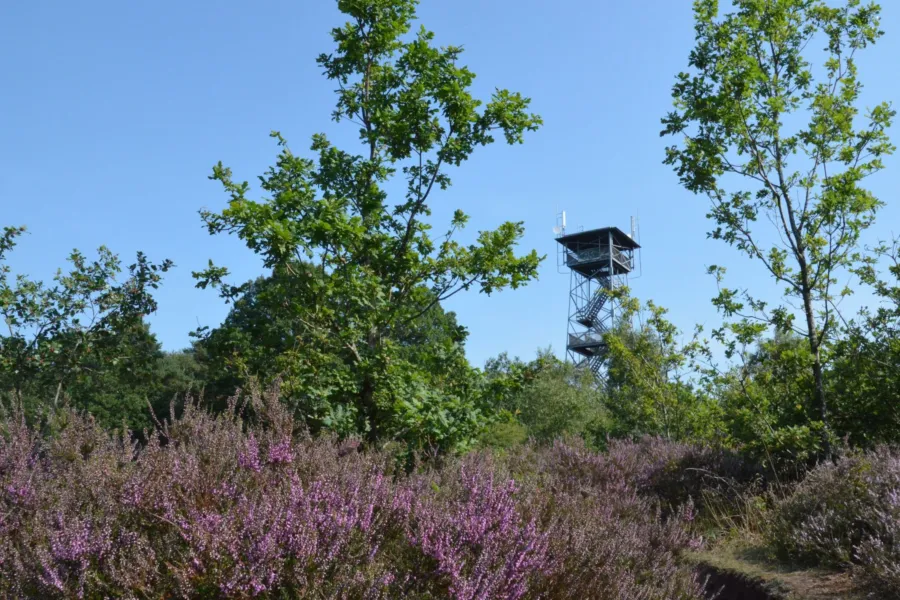 Uitkijktoren Ommen camping Ommerland 16