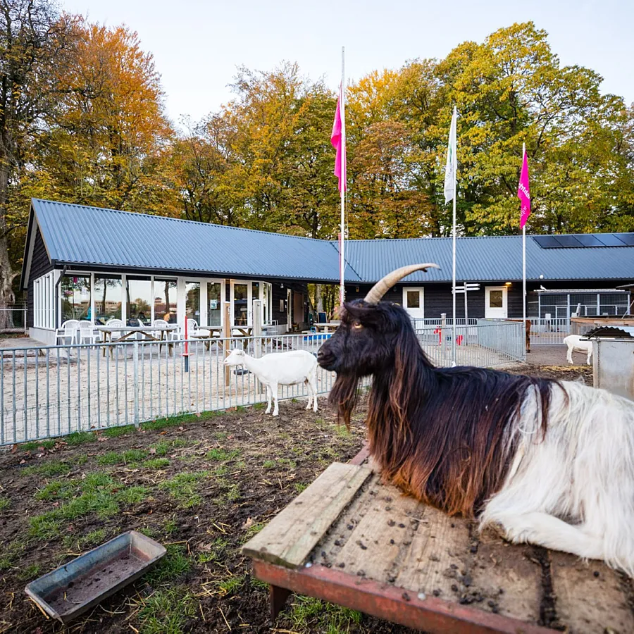 Stadsboerderij de Mars omgeving Ommerland