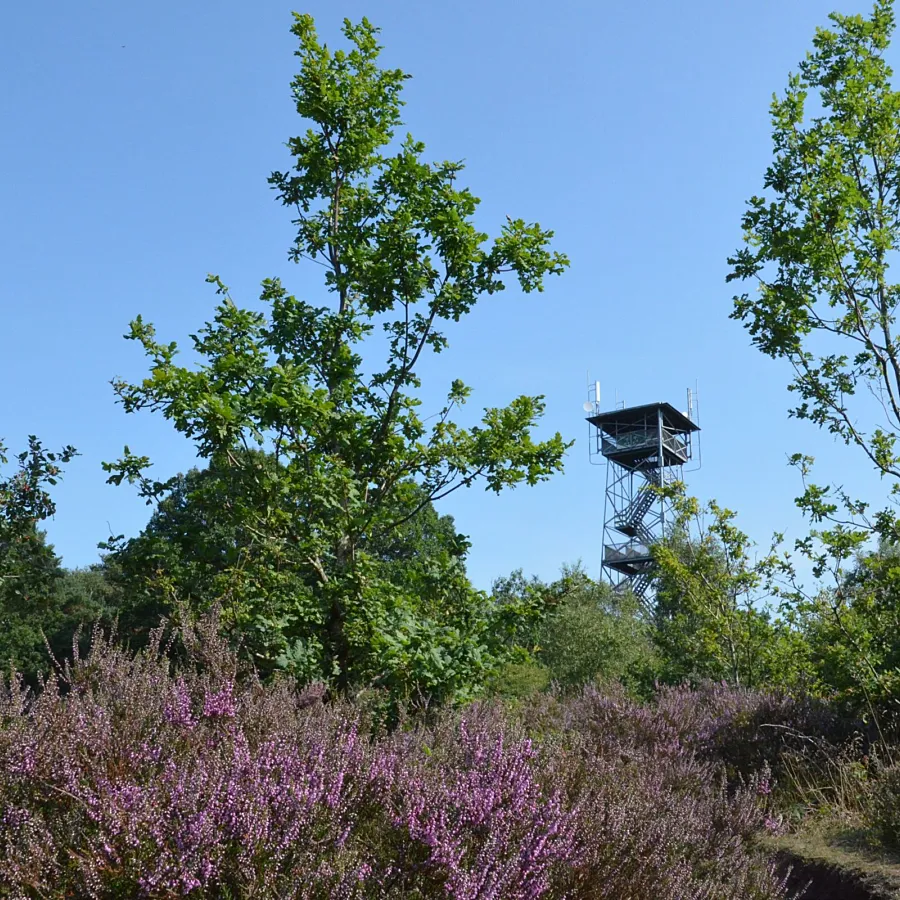 Uitkijktoren Ommen camping Ommerland 16