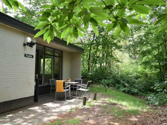 Vakantiepark Overijssel bungalow met hond 1