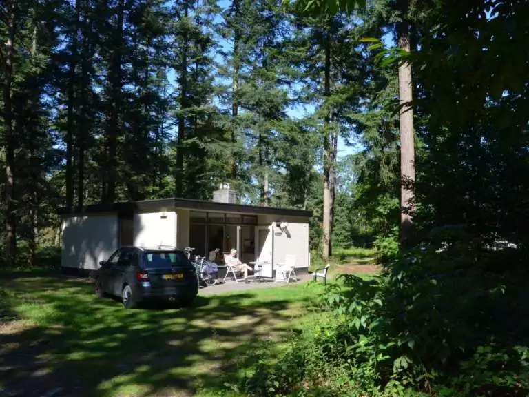 Vakantiepark Overijssel bungalow met hond 11