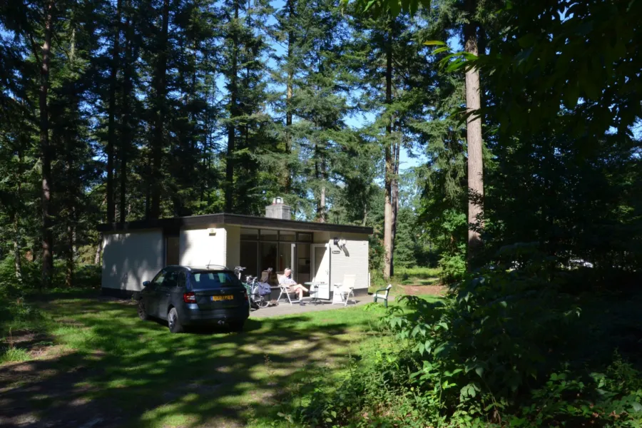 Vakantiepark Overijssel bungalow met hond 11