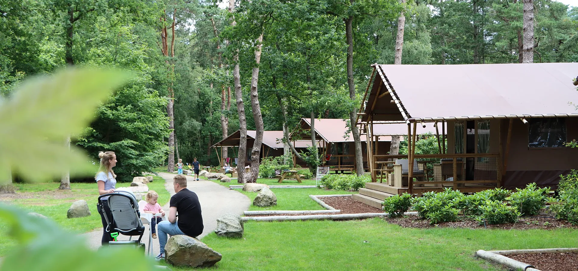 Glamping Overijssel boslodge met hond 31