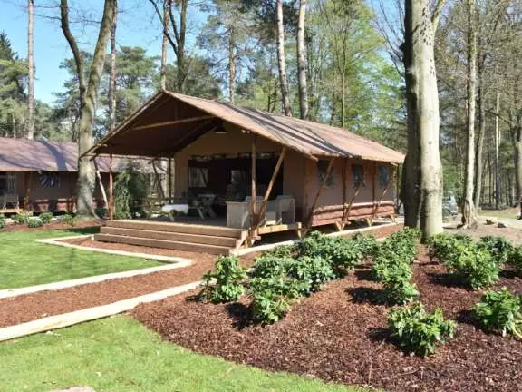 Glamping Overijssel boslodge met hond 16