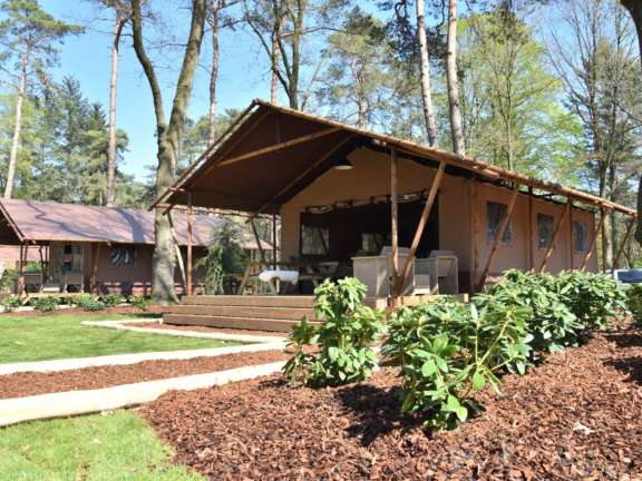 Glamping Overijssel boslodge met hond 22