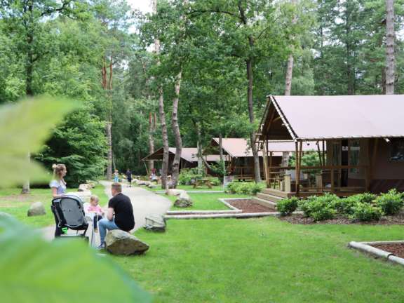 Glamping Overijssel boslodge met hond 31