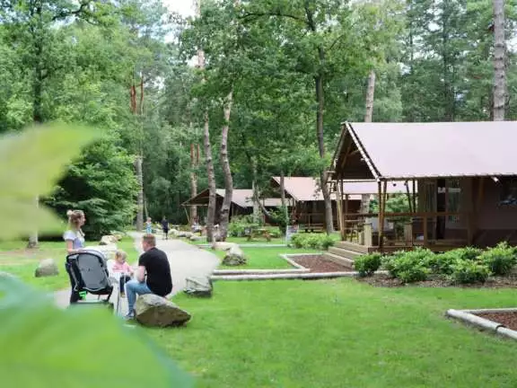 Glamping Overijssel boslodge met hond 31