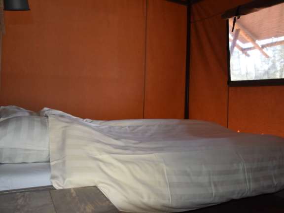 Glamping Overijssel boslodge met hond 7